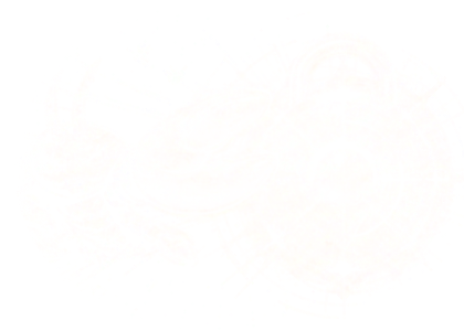 iTeri - Secure... very secure